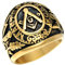 HIJONES Schmuck Herren Edelstahl Herrschsüchtiges Weinlese Freemason Freimaurer Ringe Gold Schwarz Größe 60 (19.1)