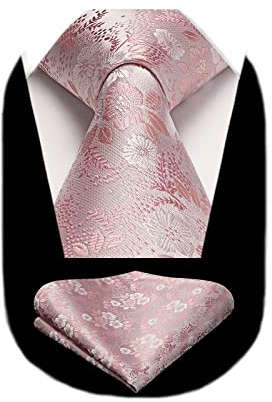 HISDERN Herren Hochzeit Krawatte Einstecktuch Party Business Paisley Krawatte & Einstecktuch Set