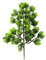 Kunstpflanze Simulierte Thuja-Kieferpflanze, Einzelner Zweig, 29 Gabeln, Thuja-Kiefer, Einladende Kiefer, Grüne Pflanze, Landschaftsbau, Künstliche Technik, Künstlicher Zweig, Kiefer, Dunkelgrün-Thu