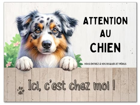 Plaque Berger Australien (bleu merle) ici, je suis chez moi panneau chien mignon attention monte la garde pancarte aluminium 15x20cm déco maison