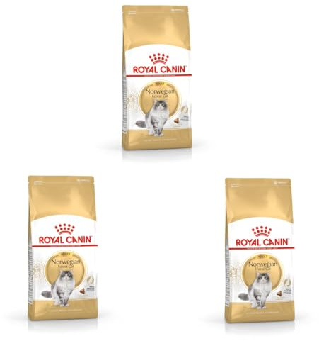 Royal Canin Norwegian Forest Cat Adult | 3er Pack | 3 x 400 g | Allfeinfuttermittel für ausgewachsene Norwegische Waldkatzen | Ab dem 12. Monat | Gesunde Haut und schönes Fell