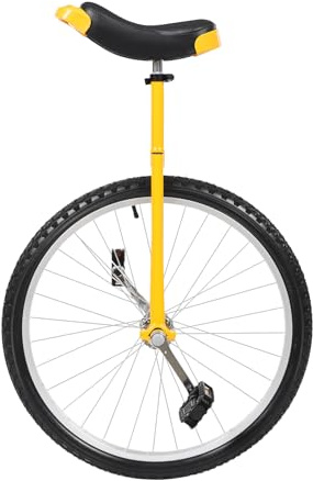 BJTDLLX Einrad 24 Zoll Einrad Fahrrad für Erwachsene, Höhenverstellbar 91.44-101.6cm, für Fitness & Outdoor Balance Training, mit Einradrahmen, Sicheres Radfahren, 70 kg Tragfähigkeit