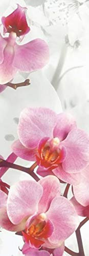 wohnfuehlidee Schiebevorhang Deko Blickdicht Ivanka, Farbe Rose, Größe BxH 60x245 cm