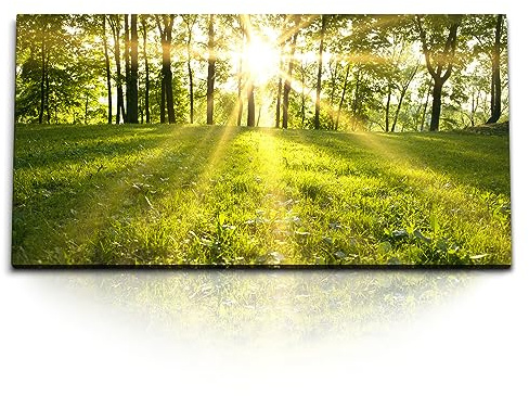 Paul Sinus Kunstdruck Bilder 120x60cm Grüne Wiese Waldrand Bäume Sonnenschein Natur