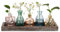 Hewory Kleine Vasen für Tischdeko Esstisch: 5er Mini Vasen Set Vintage Vase Bunt mit Holztablett für Deko Wohnzimmer - Kleine Glasvasen Blumenvase Glas für Room Decor Home Zuhause Geburtstag Party