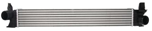 THERMOTEC DAF007TT Ladeluftkühler/LLK Turbokühler Kompatibel mit FIAT Ducato Kastenwagen 250, 290 1382428080 1382429080 1613994080