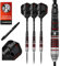 Harrows Ryan Searle „Heavy Metal“ Serie 2-Spieler-Dart-Set I Professionelle Dartpfeile mit 90% Wolframstahlspitze, ALLE Gewichte I 10-teiliges Set (32g)