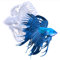 HyzaPhix 3D Betta Fisch Silikonformen Statue Kunstharz form Tier Epoxidharz Formen DIY Gießformen Betta Fish Resin Molds für Wandbehang Ornament, Kunsthandwerk Dekor