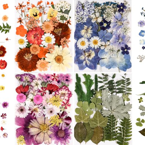 nisetten 110+ Pcs Dried Pressed Flowers for Resin Crafts Colorful-C