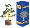 Wonder Care GrünerJadekristallbaum als Heimdekoration Kristalle und Heilsteine Weltraumkristall-Dekorationsbaum Kristallgeschenke Edelsteinbaum Weihnachtsbaum Erntedankgeschenk für Freunde und Familie