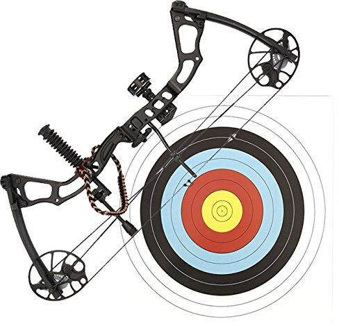 G8DS Set Compound Bogen Set Chikara 15-70 lbs 300 FPS 330 km/h High-End-Bogen inkl. 4 Carbon Pfeilen Zielscheibe 40 x 40