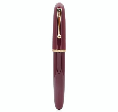JINHAO DADAO 9019 Fountain Pen Acrylic Ink Pen with Ink Converter (Medium Nib, Wine Red)