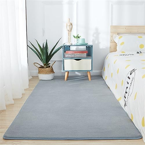 BESTORI Teppich Wohnzimmer Kurzflor Einfarbig Teppich Weicher rutschfest Modernes Waschbar Schlafzimmer Bettvorleger Outdoor Carpet Grau, 40 x 60 cm