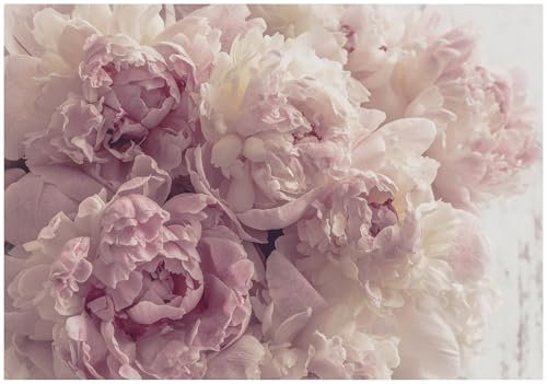 WallArena - Vlies Fototapete Blumen Pfingstrose Romantisch Rosa Rosen 350x250 cm - Fototapeten - Tapeten - für Wohnzimmer Schlafzimmer - Vliestapete Wandtapete Tapete 3D Effekt- inkl. Kleister