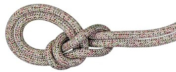 Mammut 9.5 Crag We Care Classic Rope - Cuerda de Escalada reciclada para Deportes al Aire Libre, 60 m