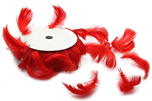 Federdraht Deko Federn ROT Rolle 10 m (1,68€/m) Dekoband Bastelfedern Dekofedern Osterdekoration Ostern