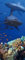 A.Monamour Türtapete Selbstklebend Türfolie Türposter 3D Bunte Korallenrifffische Große Haie Unter Wasser Blaues Meer Vinyl Folie Türdeko Tapete Wandbild Türaufkleber Türtattoo 85 x 200 cm