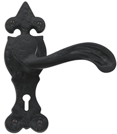 Black Antique Lever Lock on Backplate Door Handle from EUROART