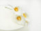 Feinzucker Blüten Calla Lily 3er