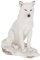 Nemesis Now Geisterwolf, Figur, 24 cm, Weiß
