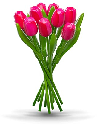 MomoMoments Tulpenstrauß aus Holz für die Liebste, 9 Holztulpen, 34 cm hoch, handbemalt, Blumenstrauß, Holzblumen, Muttertag, Frauengeschenk, Made in Holland (Pink/Rot)