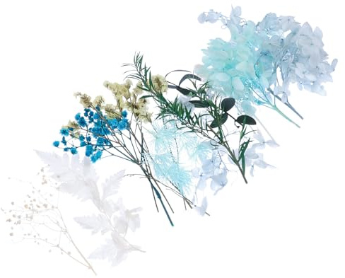 LOORGVEL Getrocknete Blumen Bastelmaterial 1 Schachtel Blau