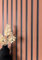 Newroom Tapete Rot Vliestapete Paneele - Holzwandpaneele Skandinavisch Terrakotta Lamelle Lehm Wandpaneele Modern Holzpaneele Wandverkleidung inkl. Tapezier-Ratgeber