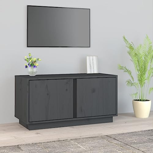 KTHLBRH TV-Schrank Grau tv unterschrank HiFi Rack Fernsehschrank Fernseher kommode 80x35x40,5 cm Massivholz Kiefer