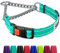 CollarDirect Reflektierendes Hundehalsband, Martingale-Halsbänder, seitliche Schnalle, Kette Training, verstellbare Haustier Halsbänder (Minzgrün, M, 35-42 cm)