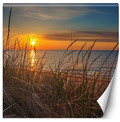 Feeby Papier Peint Intisse Ciel Plage Mer 250x250 cm orange Moderne Panoramique XXL Photo Mural Muraux Chambre Bureau Salle Coucher De Soleil Herbe