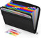 ABC life Cartella Portadocumenti A4 con Chiusura a Cerniera, 13 Tasche Porta Documenti, Fisarmonica Porta Documenti Espandibile con Etichette,Cartella Impermeabile Colorata (Nero)