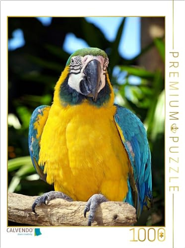 CALVENDO Puzzle Stolzer Gelbbrustara | 1000 Teile Lege-Größe 64 x 48 cm Foto-Puzzle für glückliche Stunden
