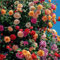 200 graines de rosier grimpant, floraison toute l'année, convient pour la décoration de jardin de balcon, couleurs vives