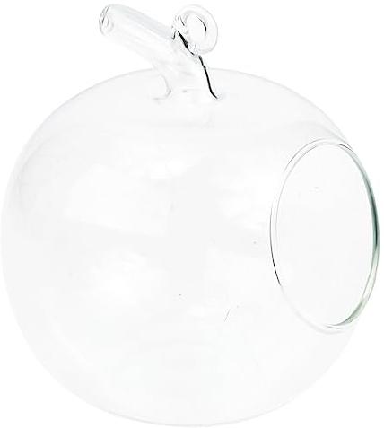 Operitacx Jarrón de cristal de manzana plantas de escritorio, botella decorativa, recipiente de micropaisaje, decoración de mesa para el hogar, cocina