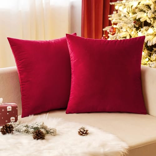 EMEMA Samt Kissenbezug Kissenhülle 50x50 cm Dekorative Dekokissen Rot Sofakissen Lendenkissen Wurfkissenbezug mit Verstecktem Reißverschluss Sofa Schlafzimmer 2er Set