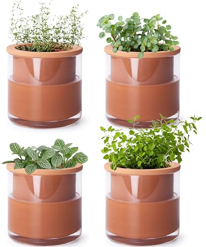 Phoenix Vine 51-A-E-4 Selbstbewässernder Pflanzentopf, Design Terrakotta-Topf für Pflanzen, Zylinder-Terrakotta-Pflanzgefäß mit Glasvase, 4 Stück