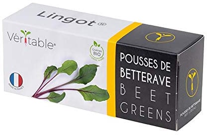 Lingot® Pousses de betterave BIO - Compatible Potager d'Intérieur Véritable® et Exky® - Recharge prête à l'emploi - Substrat avec Graines Intégrées