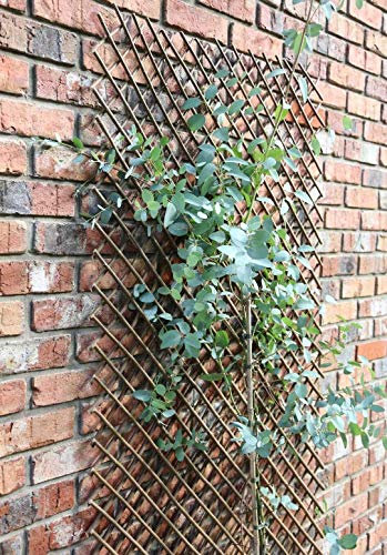 Samuel ALEXANDER Tom Chambers Expanding Willow Panel Large 180cm x 120cm Garden Flower Rose Trellis Support
