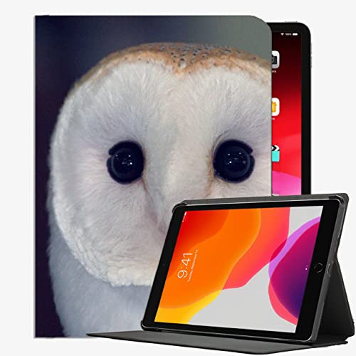 Fall für iPad Air 2 9.7 Fallabdeckung, Eule Barn Eule Vogel Hülle Slim Shell Cover für iPad Air2 9,7 Zoll