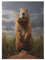 Holzpuzzles 300 Teile Groundhog -Puzzle Für Jungen Und Mädchen, Schwierigkeitsgrad, Lernspiele, Familienspielzeug 42×30cm