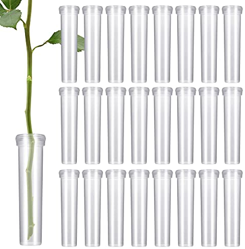 Zocipro 100 Stück Blumenröhrchen,Blumen Wasserröhrchen mit Kappen, Wiederverwendbare und Langlebige Reagenzgläser für Blumen 2,8 Zoll,Transparent