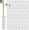 Zocipro 100 Stück Blumenröhrchen,Blumen Wasserröhrchen mit Kappen, Wiederverwendbare und Langlebige Reagenzgläser für Blumen 2,8 Zoll,Transparent