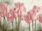 Artnapi Diamond Painting Set 5D DIY | Diamant Painting Bilder | Rosa Tulpen 30x40 | Diamanten Gemälde Malen nach Zahlen | Diamant Mosaik für Haus Decor