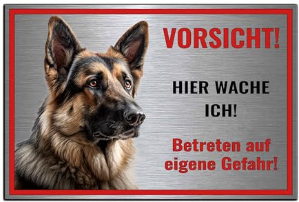 Schild Hundeschild Vorsicht Hier wache ich - Betreten auf eigene Gefahr! Achtung - Warnschild Silber gebürstet - Warnung vor dem Hund - Deutsche Schäferhund M3 (Silber, 22,5x15 cm)