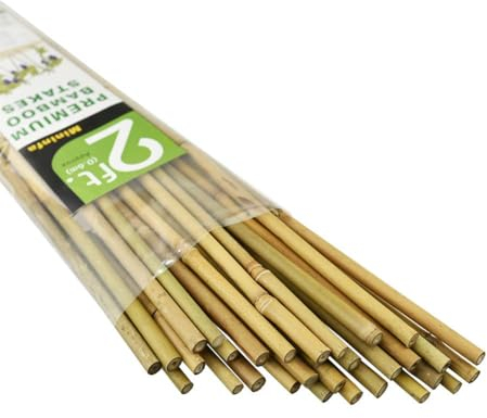 Mininfa Natürliche Bambusstäbe 60CM, Umweltfreundliche Bambusstange, Bambusstangen, Pflanzenstäbe für Tomaten, Bäume, Bohnen, 30 Stück