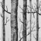 Yangfix Weiß und Schwarz Selbstklebend Tapete Birke Baum Effekt Wandaufkleber Kontaktpapier Klebrige Rückseite Plastik Vinyl-Folie Rolle für Küche Badezimmer 44.5x500cm