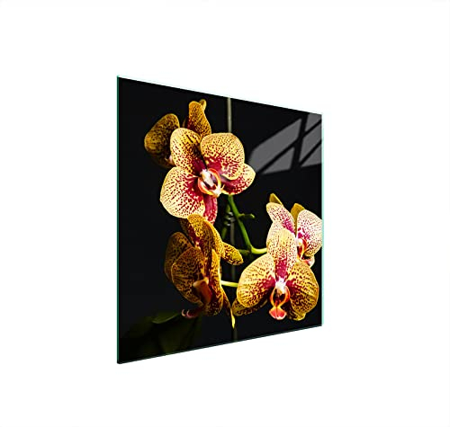 DarHuas Herdabdeckplatte 50x52 cm 1-teilig Ceranfeldabdeckung Induktion Herdschutz Spritzschutz Glasplatte Deko Schneidebrett, Orchidee Schwarz