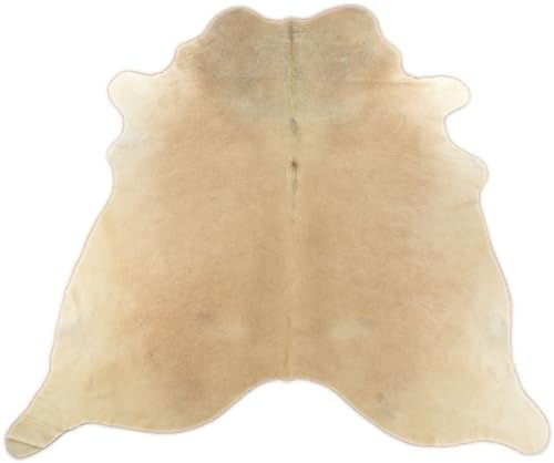 KUHFELL RINDERFELL Hellbraun BEIGE ca. 230 x 200 cm Fell Teppich VON KUHFELLE ONLINE