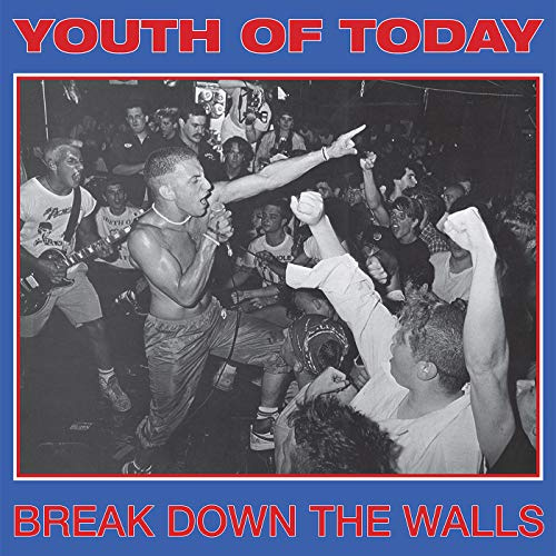 Break Down the Walls [Vinyl]