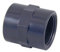 PISCINEO Manchon taraudé PVC Pression fileté 1 des 2 côtés